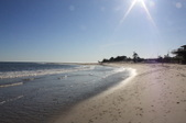 Enlarge photo 41
