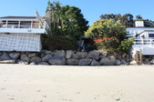 Enlarge photo 44