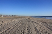 Venice Beach