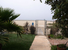 Enlarge photo 13