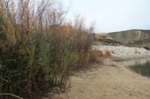Enlarge photo 31