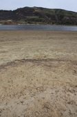 Enlarge photo 36