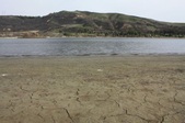 Enlarge photo 37