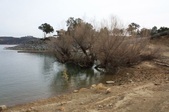 Enlarge photo 36