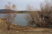 Enlarge photo 37