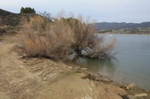Enlarge photo 38