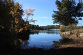 Enlarge photo 25