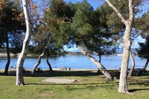 Enlarge photo 33
