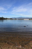Enlarge photo 38