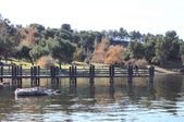 Enlarge photo 40