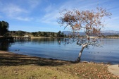 Enlarge photo 42