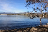 Enlarge photo 43