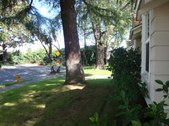 Enlarge photo 35