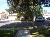 Enlarge photo 39