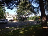 Enlarge photo 41