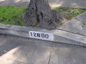 Enlarge photo 42