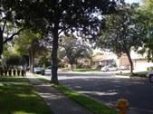 Enlarge photo 49