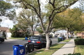 Enlarge photo 49