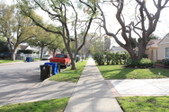 Enlarge photo 55