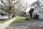 Enlarge photo 58