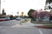Enlarge photo 1