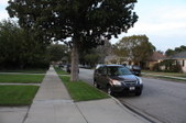 Enlarge photo 30