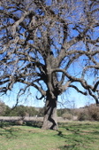 Enlarge photo 1