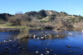 Enlarge photo 25