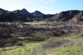 Enlarge photo 30