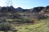 Enlarge photo 31