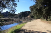 Enlarge photo 38