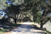 Enlarge photo 39