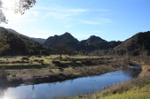 Enlarge photo 40