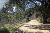 Enlarge photo 41