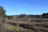 Enlarge photo 42
