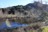 Enlarge photo 46