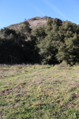 Enlarge photo 47
