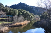 Enlarge photo 49