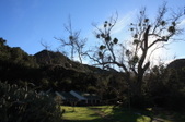 Enlarge photo 51