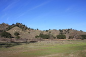 Enlarge photo 52