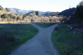 Enlarge photo 53