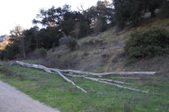 Enlarge photo 54