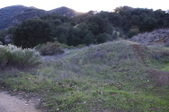Enlarge photo 55