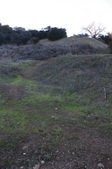 Enlarge photo 56