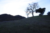 Enlarge photo 57