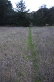 Enlarge photo 58