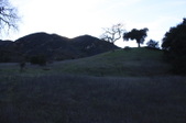 Enlarge photo 59