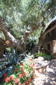Enlarge photo 18
