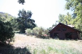 Enlarge photo 35