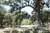 Enlarge photo 36